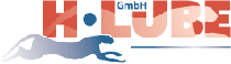 H. Lube GmbH, PC-Kundendienst