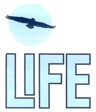 Life Portfoliomanagement & Verwalt. GmbH